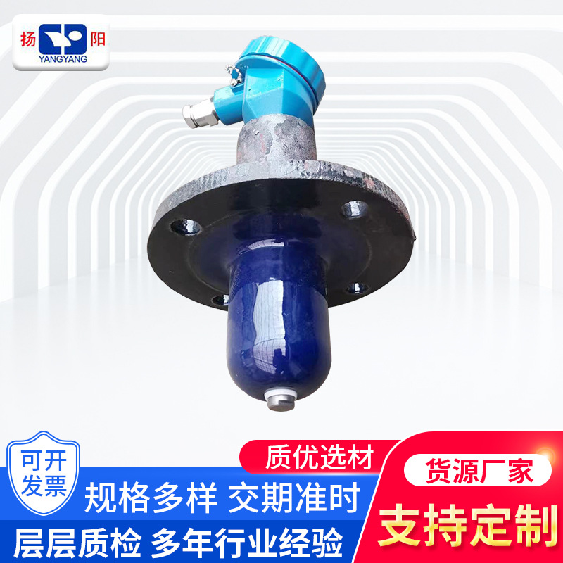 搪玻璃測溫套管